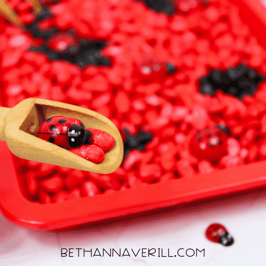 Wooden scoop holding a ladybug toy and painted red beans above a ladybug sensory bin.