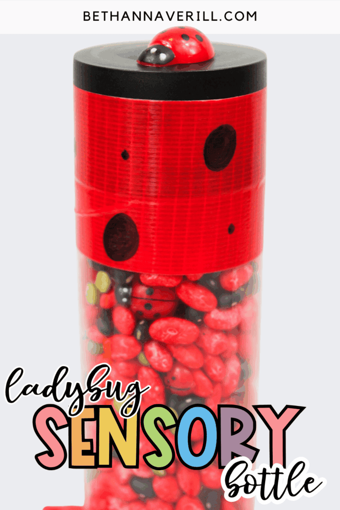 ladybug sensory bottle