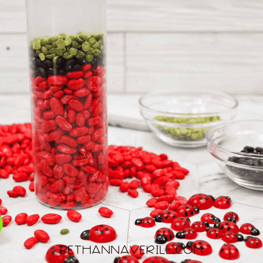 Clear plastic sensory bottle partially filled with layered red beans, black beans, and green split peas on a tabletop.