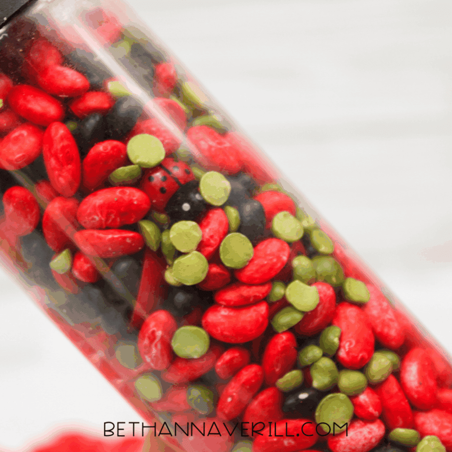 Finished ladybug sensory bottle wrapped with red duct tape and black spots, filled with beans and ladybug toys.