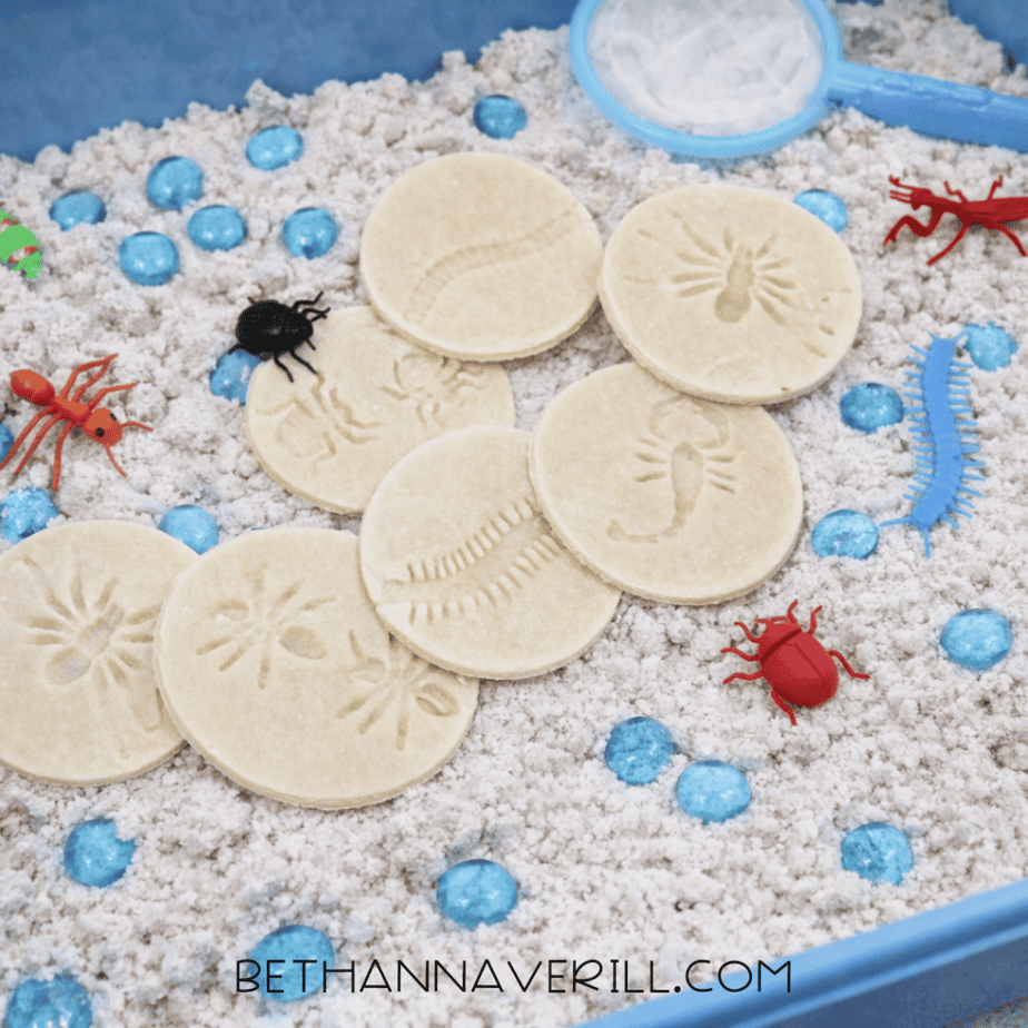 Salt dough bug fossil discs arranged in a sensory bin filled with white textured filler and blue decorative stones.