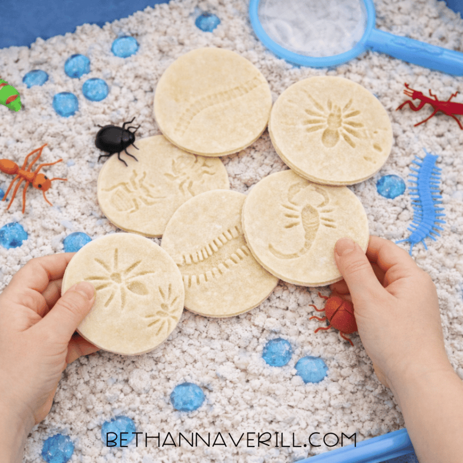 Child holding two round salt dough bug fossils over a sensory bin filled with white filler, blue stones, and plastic insects.