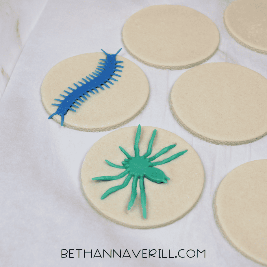 Plastic toy bugs placed on round salt dough circles before pressing to create fossil imprints.
