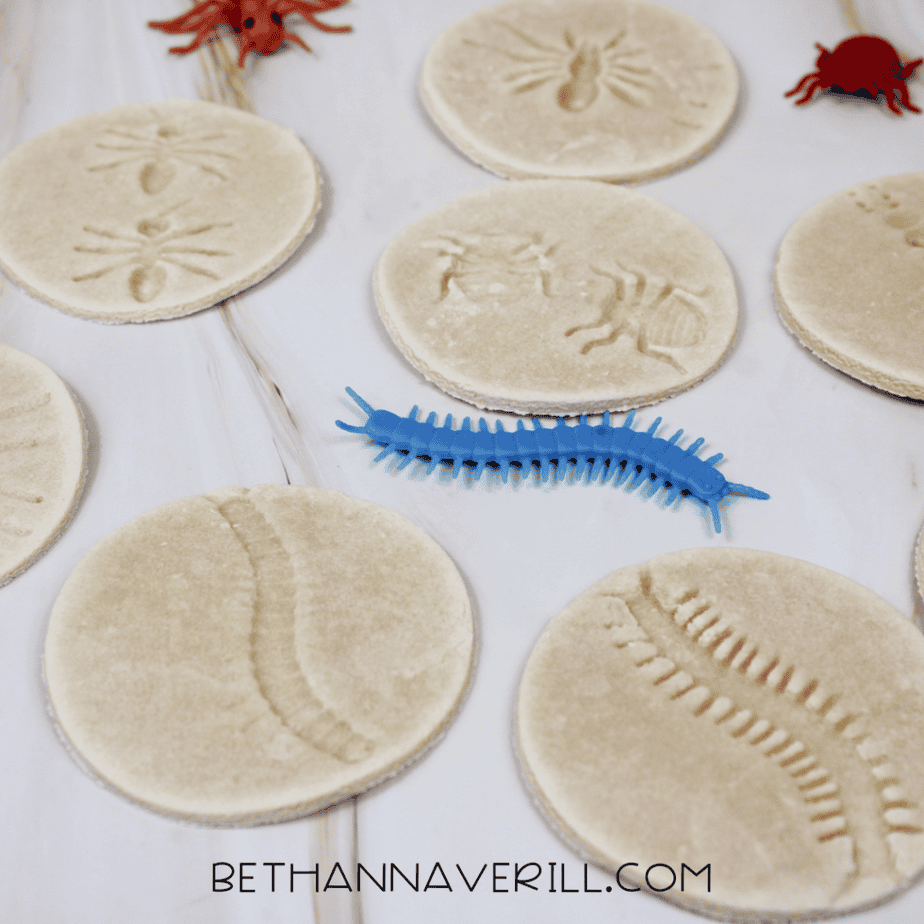 Finished salt dough bug fossils displayed on a countertop with plastic insects nearby.