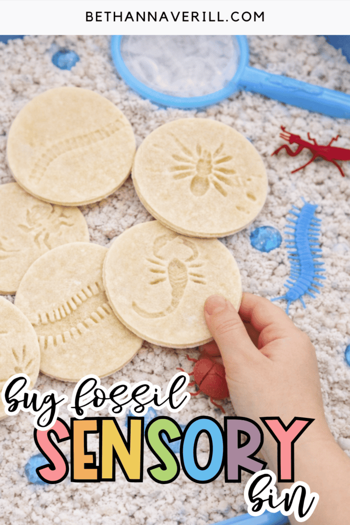 bug fossil sensory bin pin