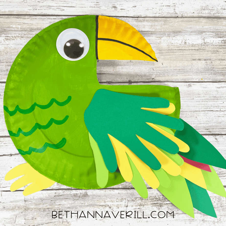 Finished parrot paper plate craft.