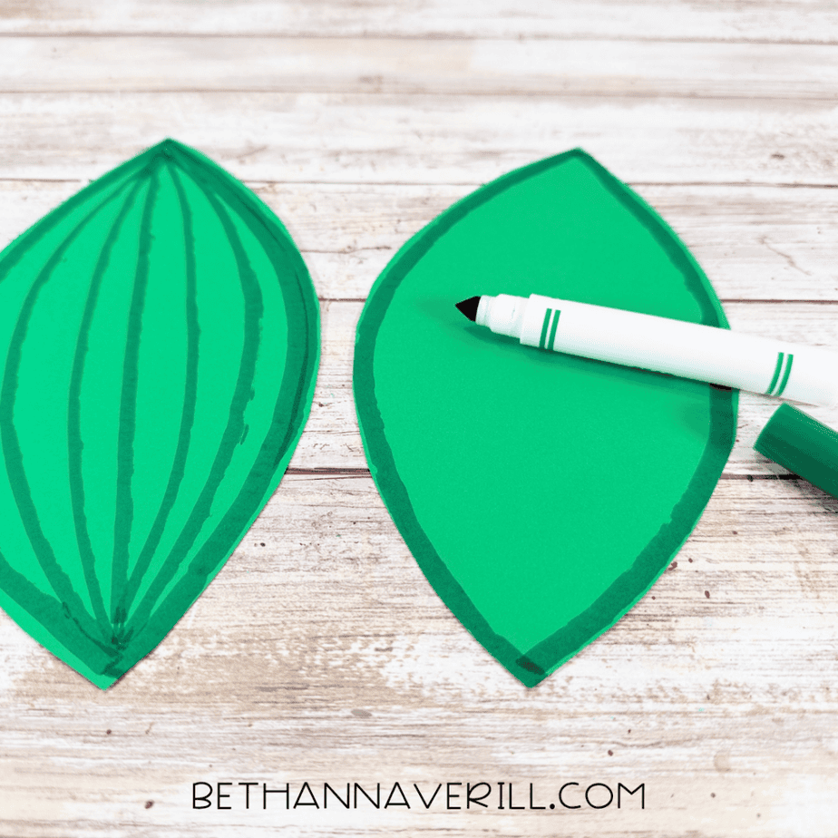 Two green paper leaves with dark green outlines and vein lines, with a green marker resting across one leaf.